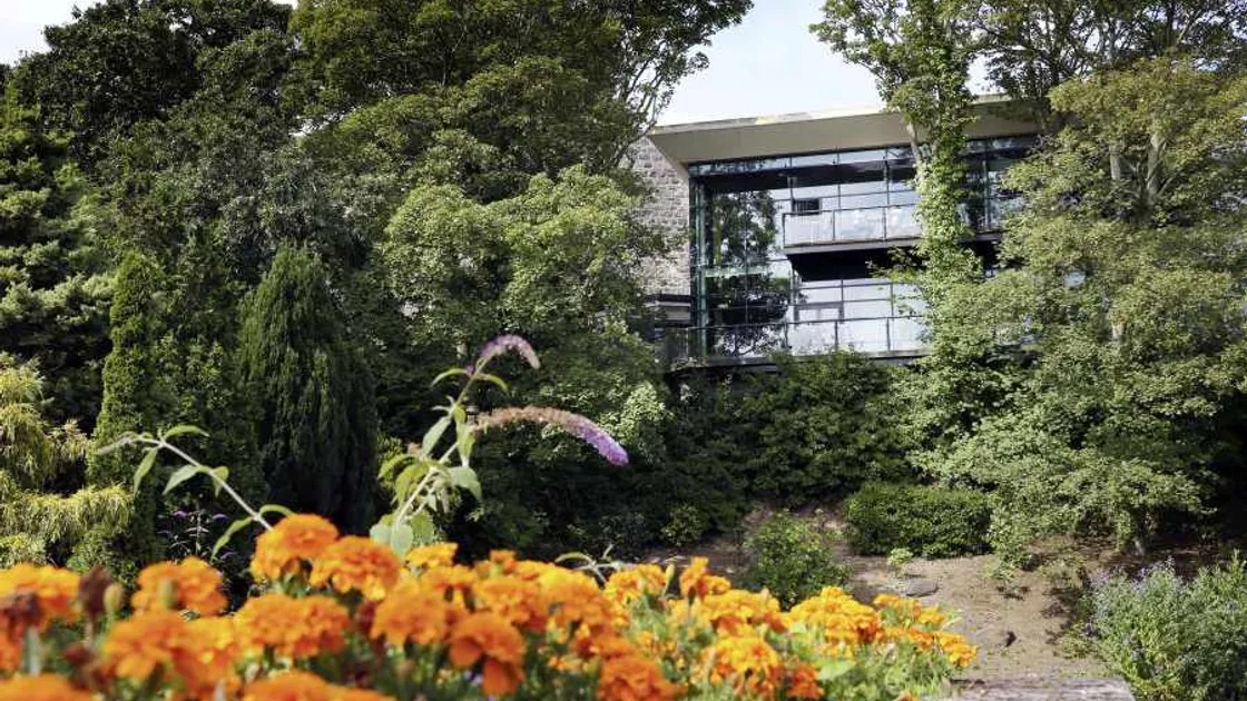 One tree goes in St James compromise