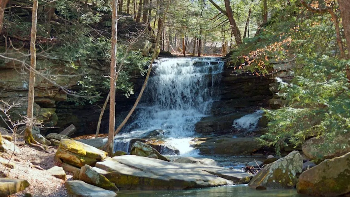 A group of historians and residents of Guernsey County, Ohio, have been actively connecting with local groups, in a bid to bond the two Guernseys, and raise awareness of the largely forgotten link that binds them. 