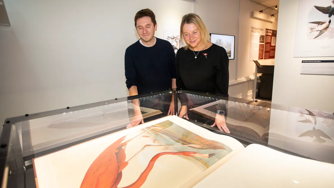 Head of marketing Adam Bayfield and chief librarian Cornelia James looking at a historic flamingo painting by artist John James Auduban in 'The Birds of America'. (Picture by Luke Le Prevost, 31464791)