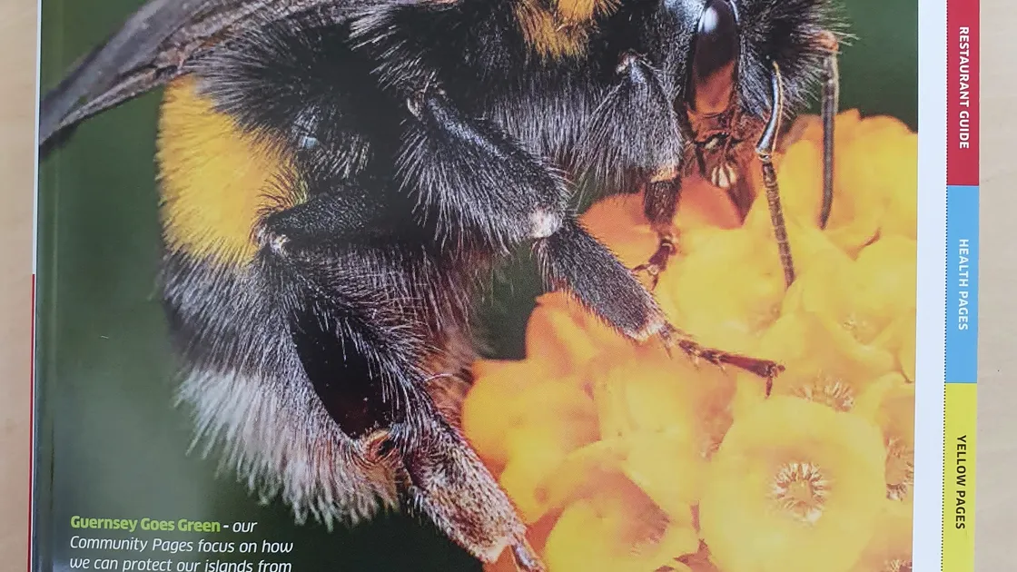 Sure has published a new telephone directory but some customers are unhappy that they are no longer in it. (25956254)