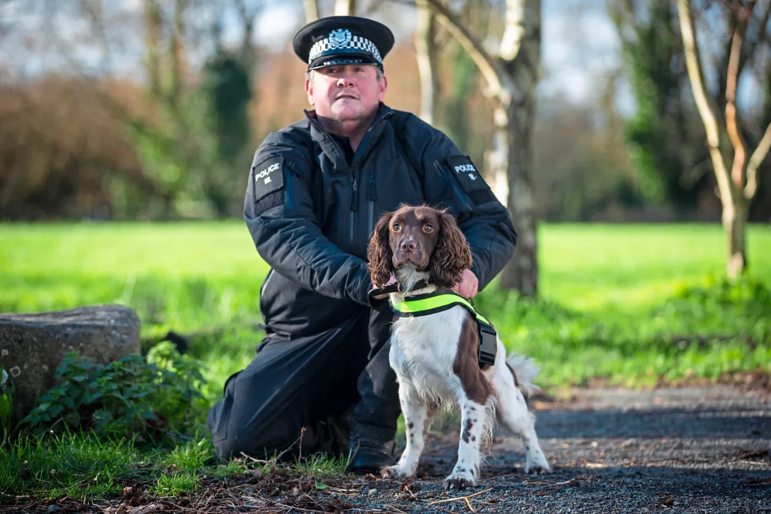 Ozzie the spaniel with handler PC Russell Winslade. (Picture by Peter Frankland, 33931074)