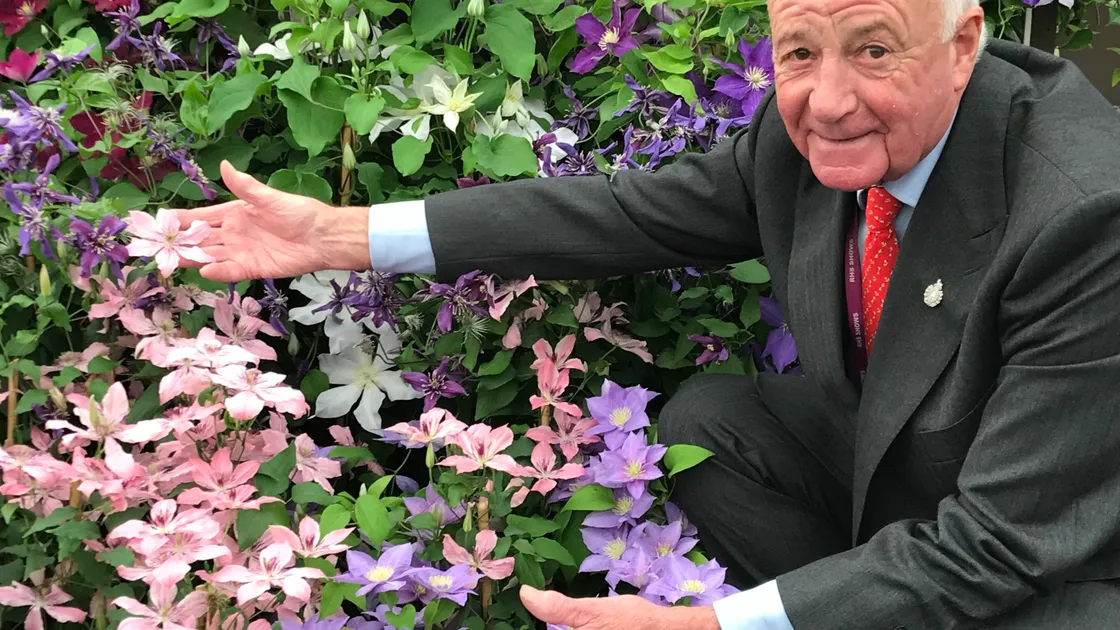 Raymond Evison and his clematis display at the delayed Chelsea Flower Show 2021. (Picture By Bruce Parker, 30004888)