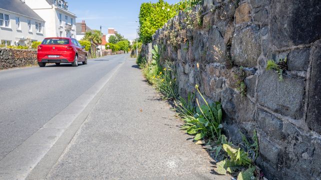 Debate on roadside weeds keeps growing
