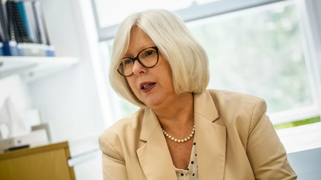 Director of Public Health Nicola Brink said the document, which covers 2022 and 2024, was important