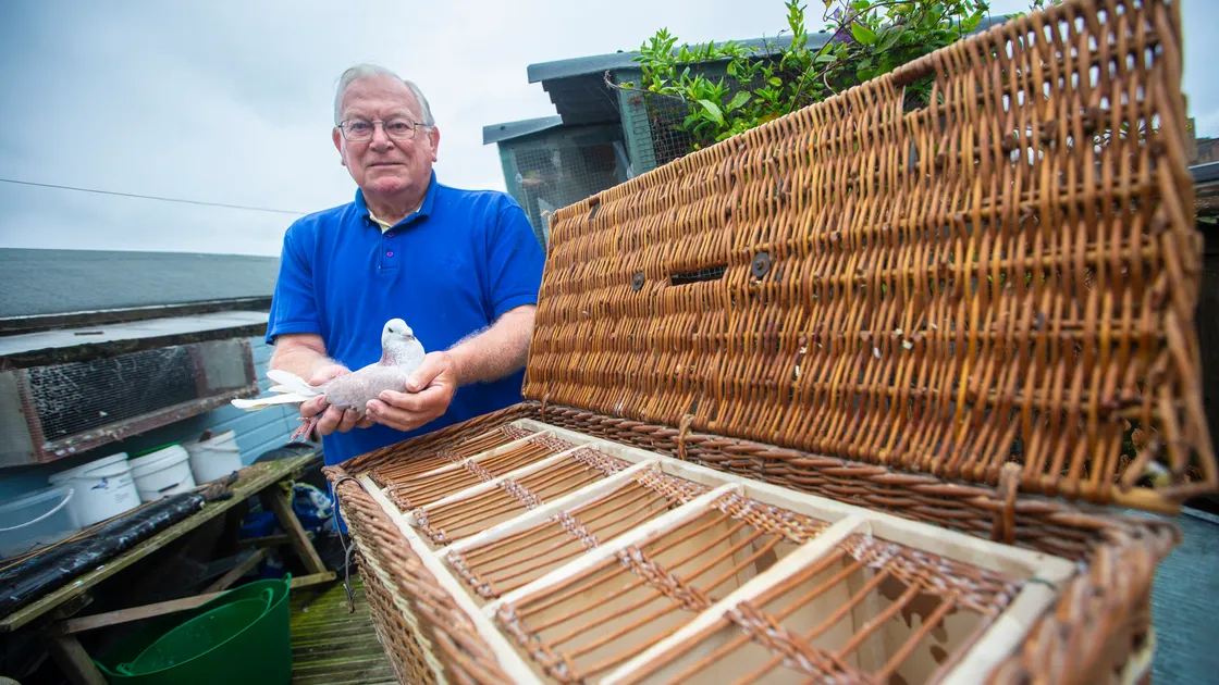 Dennis McKane was told by Condor Ferries that he would have to pay a further £354 to take a small basket containing six pigeons in the back of his car. (Picture by Peter Frankland, 33435001)