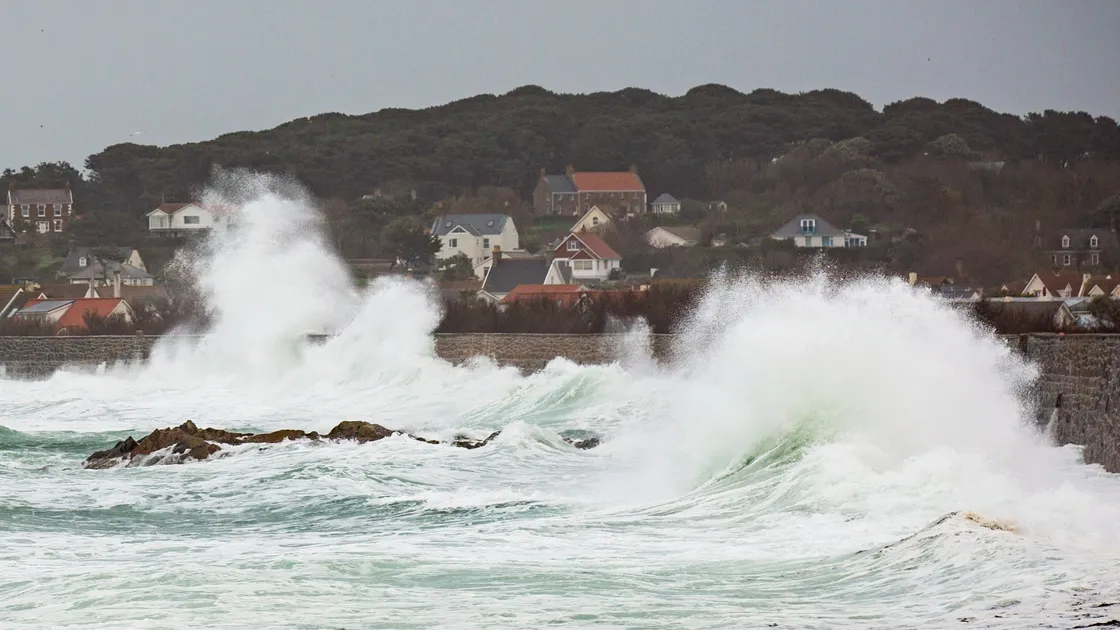 Storm Ciaran is expected to bring gusts of around 90mph. (Picture by Sophie Rabey, 32675169)