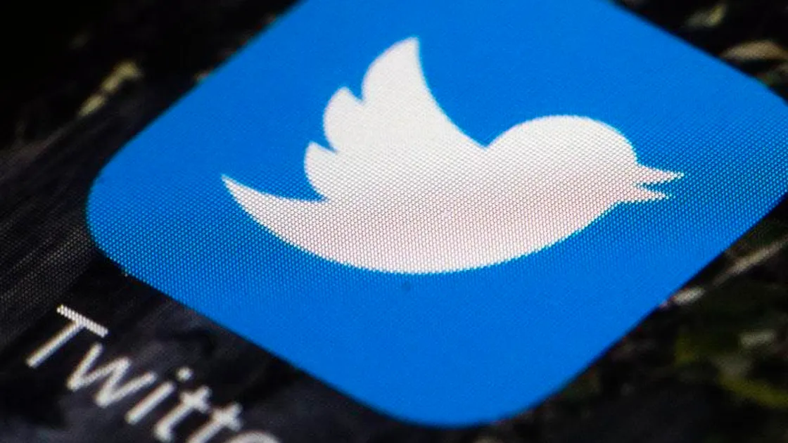 Twitter logo (29297180)