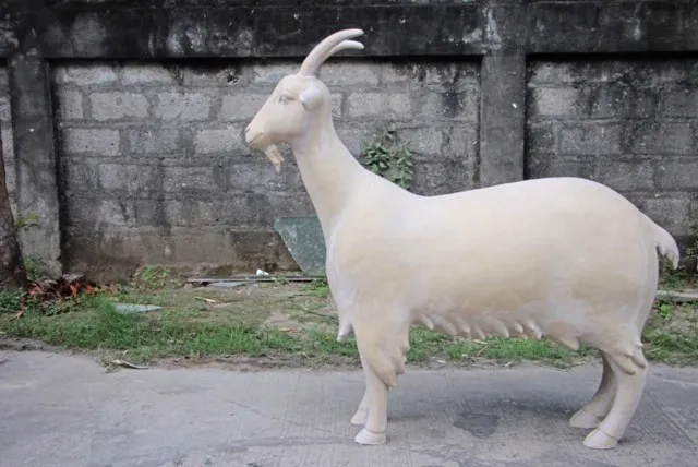 Pictures supplied by Mandy Morris from Autism Guernsey. Unpainted fibreglass shells of goat parade goats, currently being made in the Philippines. (27205033)