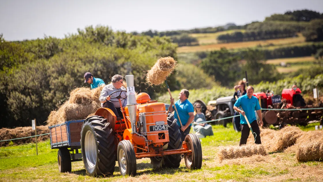 (Picture by Sophie Rabey, 32395764)