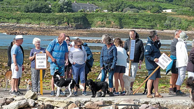 Alderney consults islanders on lifting dog beach ban