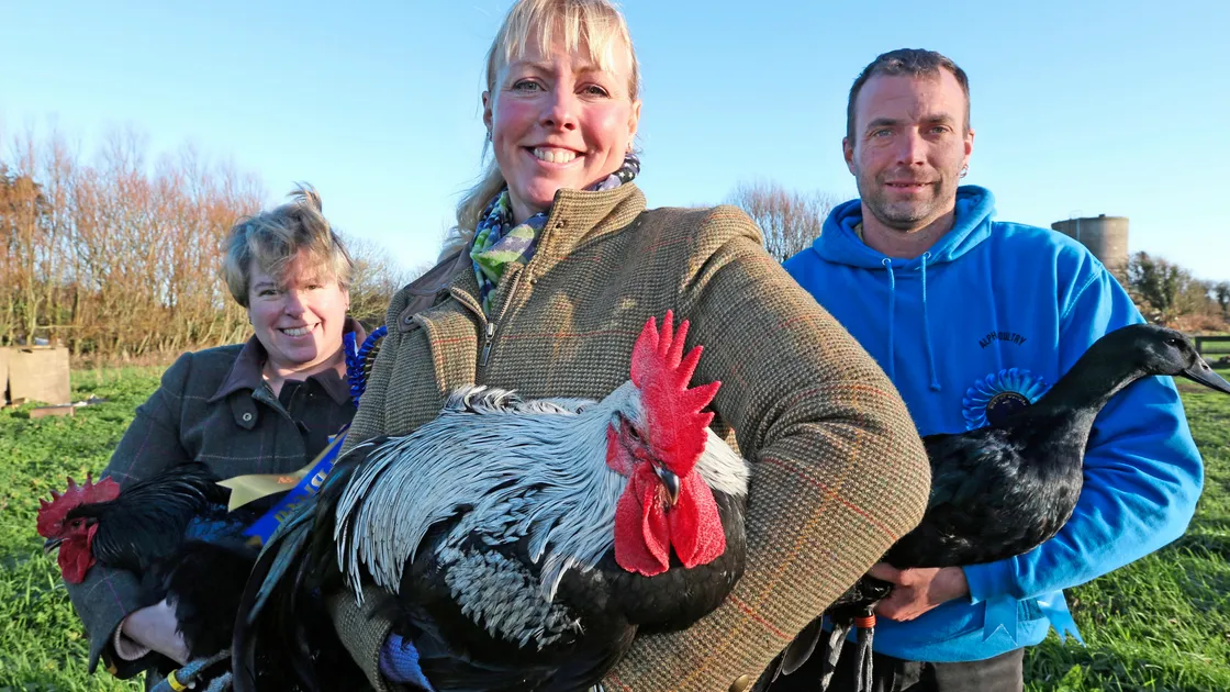 Sarah Brouard, centre, and other local poultry breeders are launching a new club for enthusiasts. Pictured with her are Jeanette Brache, secretary of the Guernsey Poultry Club, and the club’s vice-president, Marcel Worley. The picture was taken last week.                                                            (Picture by Adrian Miller, 20347271)