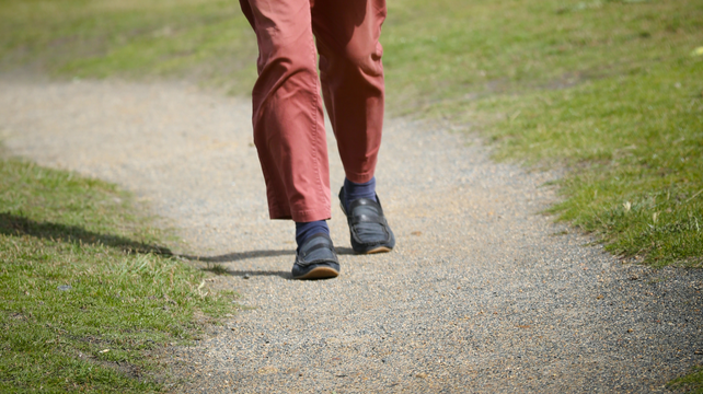 Canvassing is dealt ‘a major blow’ by withdrawal of maps