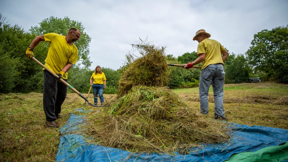 Guernsey Conservation Volunteers at Talbot Valley recently clearing the hay. Left to right, Neil Dorey, Alison MacKrill and Huw Sharp. (Picture by Sophie Rabey, 31170496)