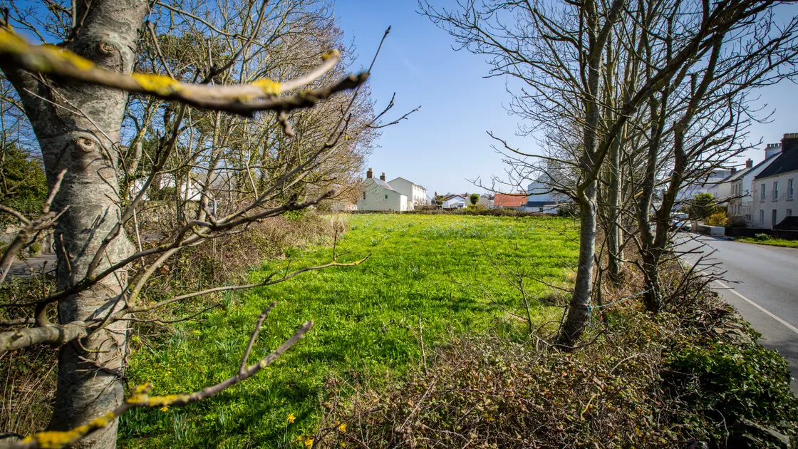 Vale constable Richard Leale has said that planning has become a tick-box exercise, with no room for common sense, 
after permission has been granted to build two houses on a triangular field on Braye Road. (Picture by Sophie Rabey, 29385174)