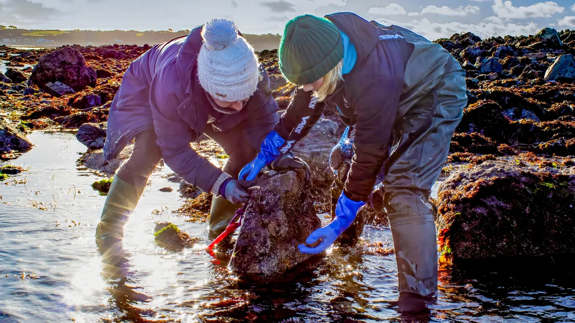 Those out for the first ormering tide of the year were treated to glorious sunshine on Saturday