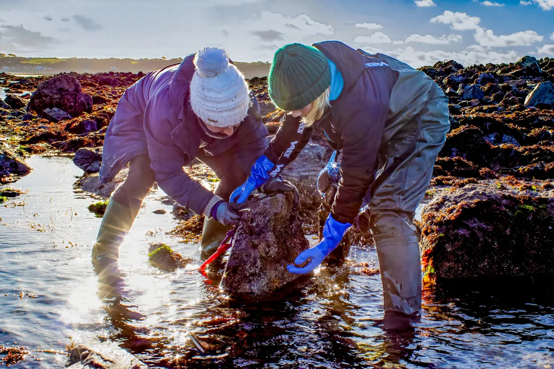 Those out for the first ormering tide of the year were treated to glorious sunshine on Saturday