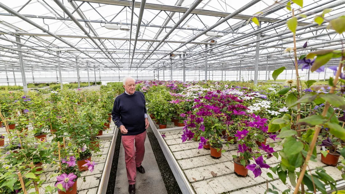 Raymond Evison in preparation for this year's RHS Chelsea Flower Show.