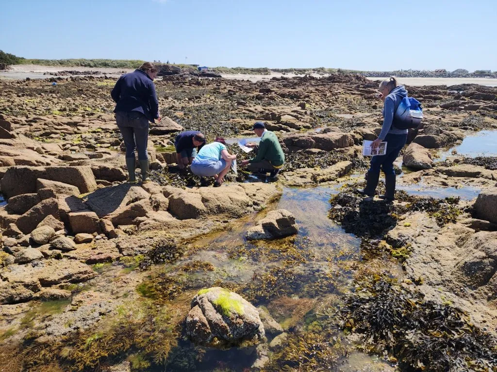 Become a citizen scientist and help to protect nature