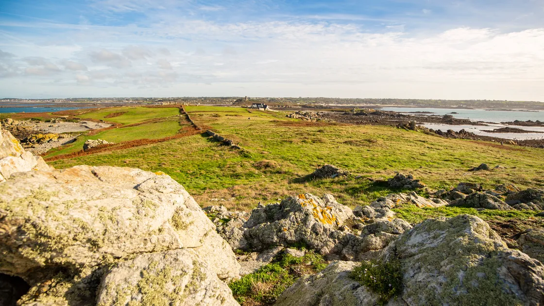 (Picture by Sophie Rabey, 31649660)