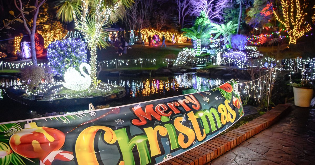 Guernsey lights at christmas