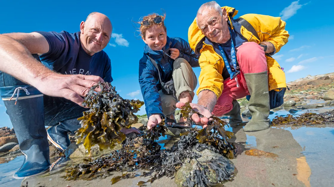 Left to right, Dave Bartram, Alexandria Moore, and Nev Jehan