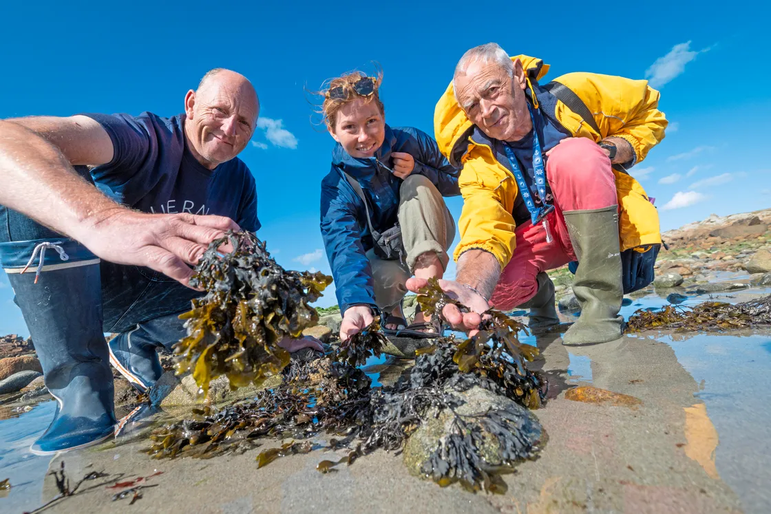 Left to right, Dave Bartram, Alexandria Moore, and Nev Jehan