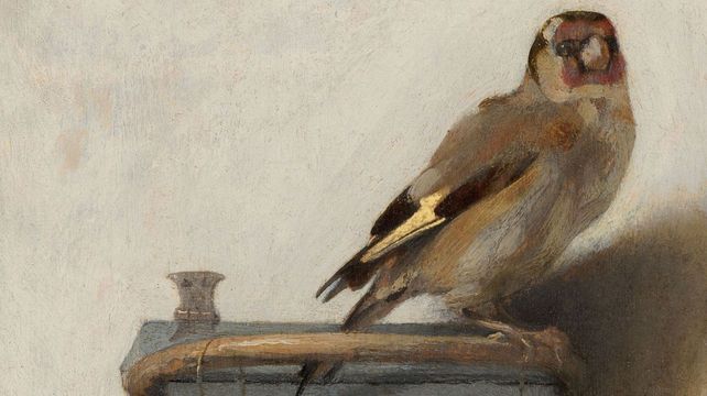 What a chained goldfinch can teach us about leadership