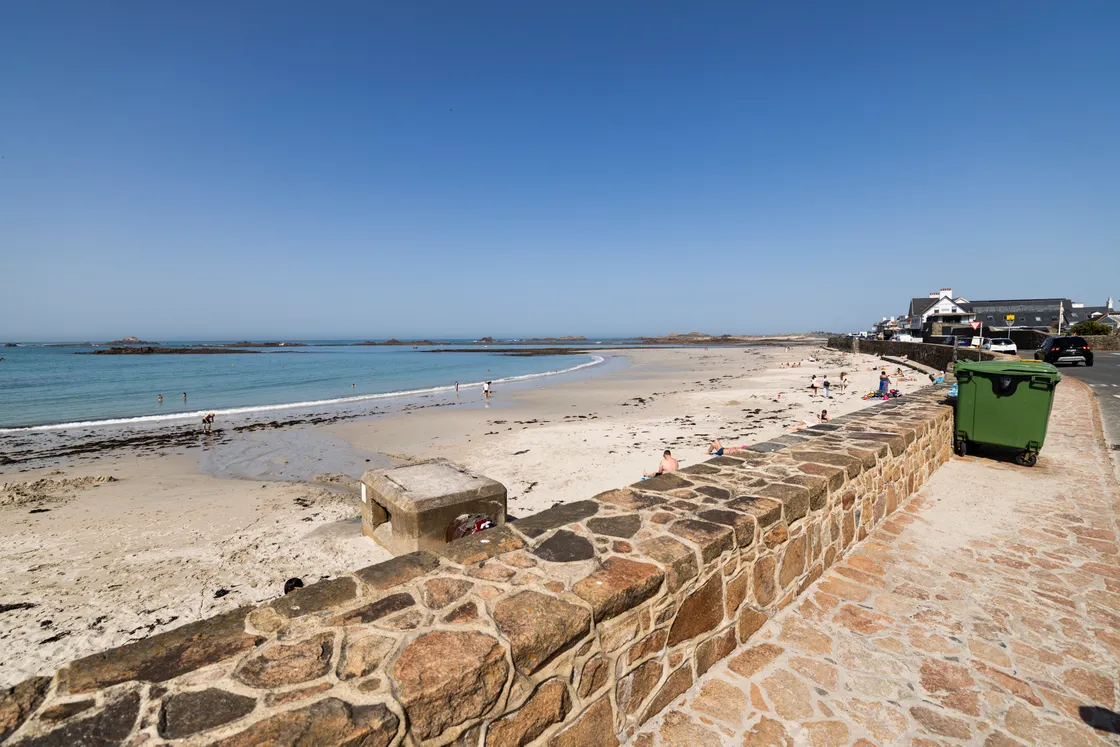 In a statement Guernsey Police said officers were currently investigating a particularly bad case at Cobo area.