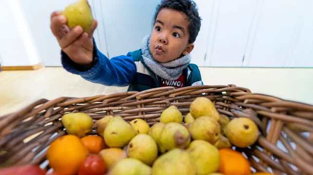 News Focus: The importance of early years development