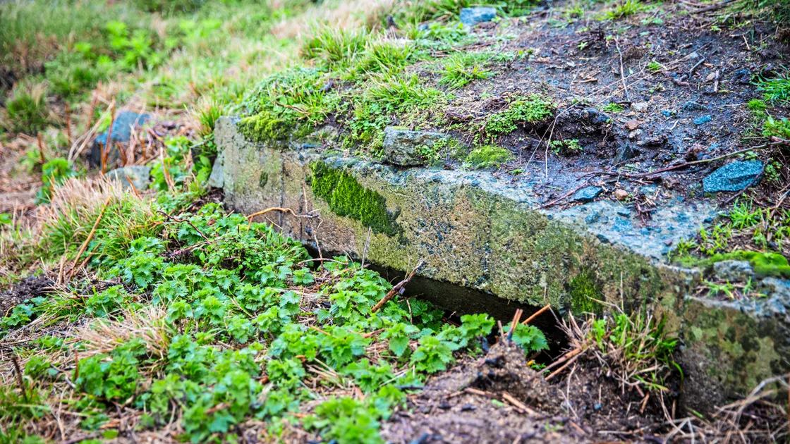 (Picture by Peter Frankland, 32989637)